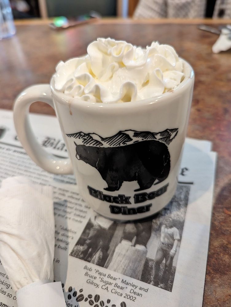 black bear diner sugar land photo